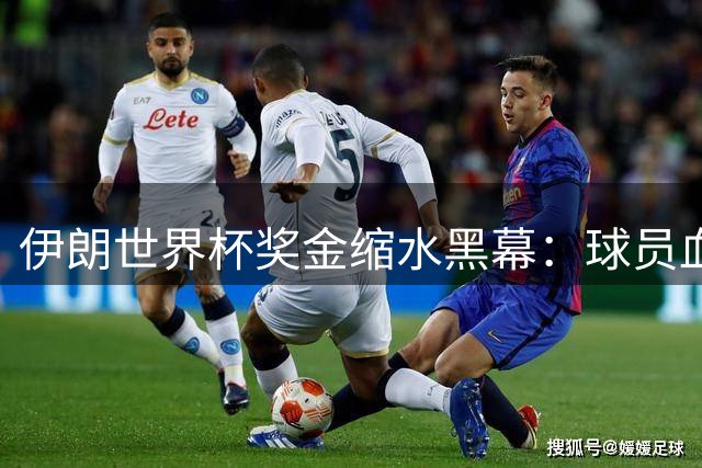 伊朗世界杯奖金缩水黑幕：球员血汗钱竟遭足协截留85%